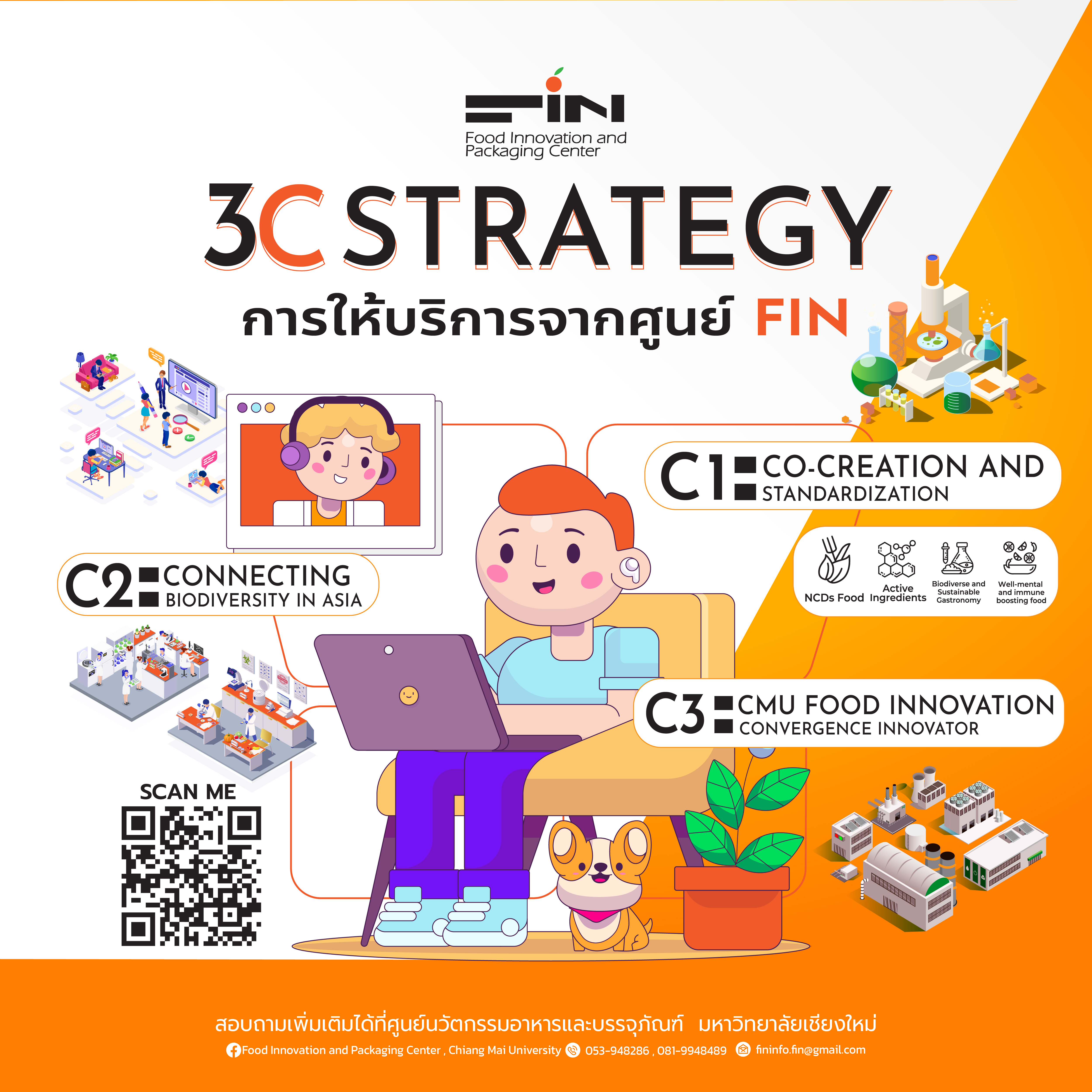 3C Strategy